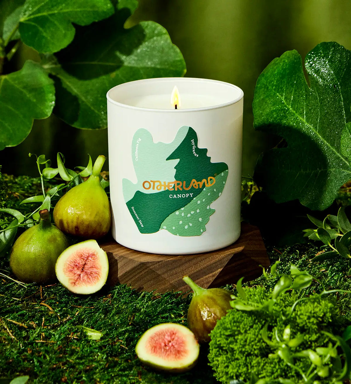 Candle with 'Otherland' branding surrounded by figs and greenery